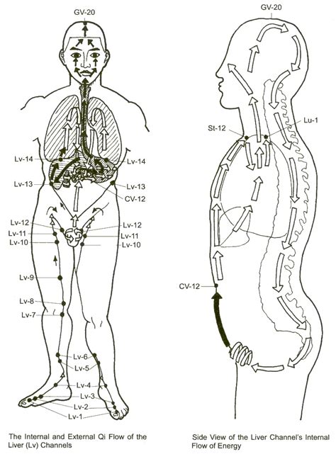 liver meridian symptoms